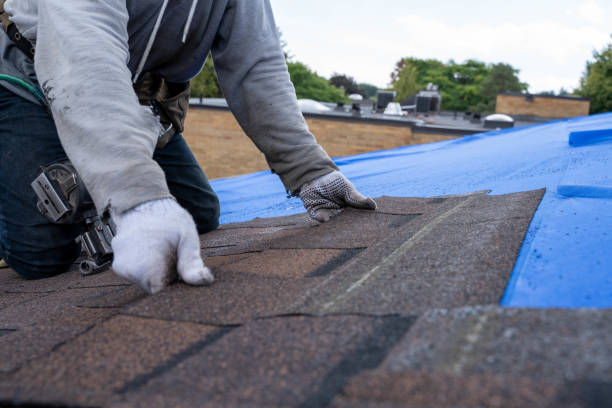 Best Storm Damage Roof Repair  in Glen Burnie, MD